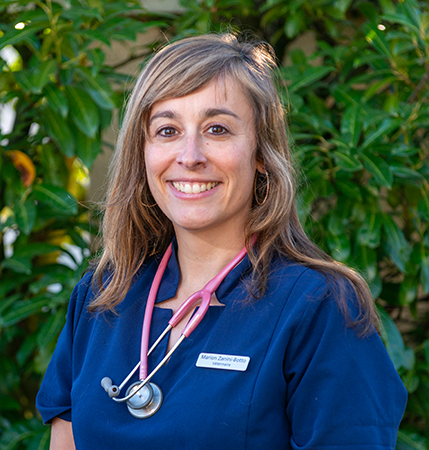 Dr Marion Zanini Botto